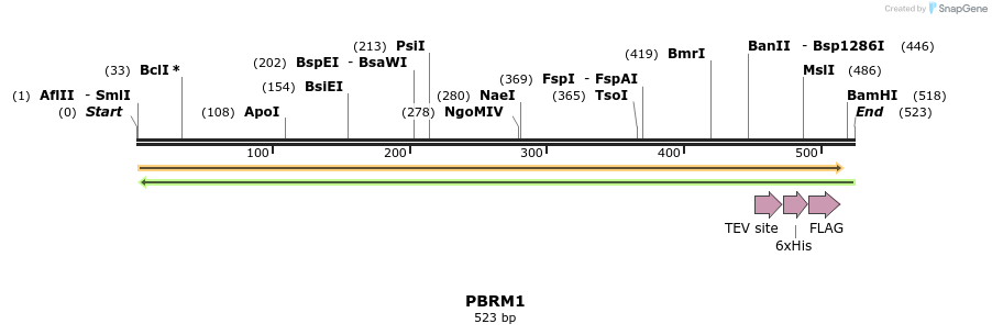 49160_map