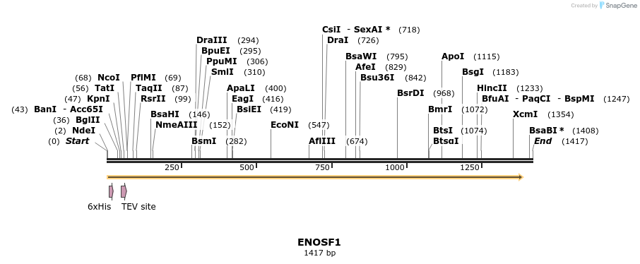 49161_map