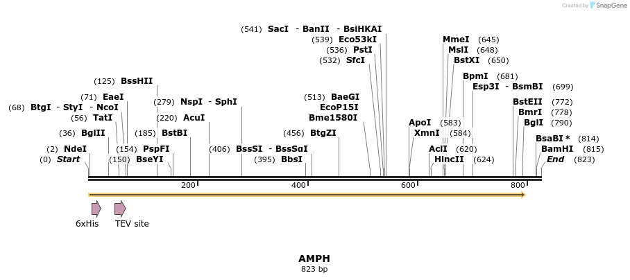 49162_map