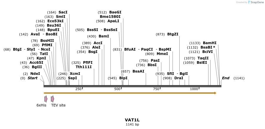 49163_map