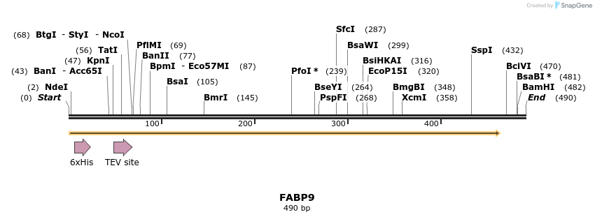 49164_map