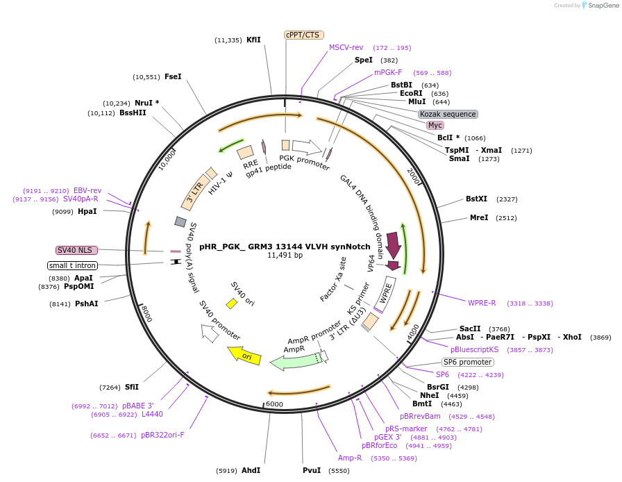 491671_map