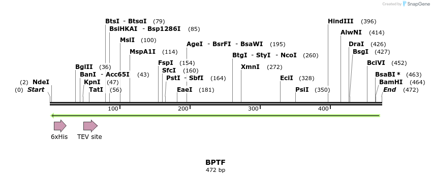 49168_map
