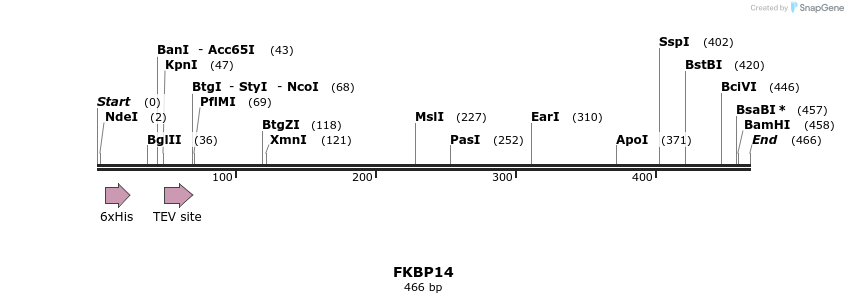 49169_map