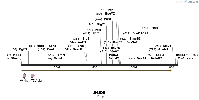 49170_map