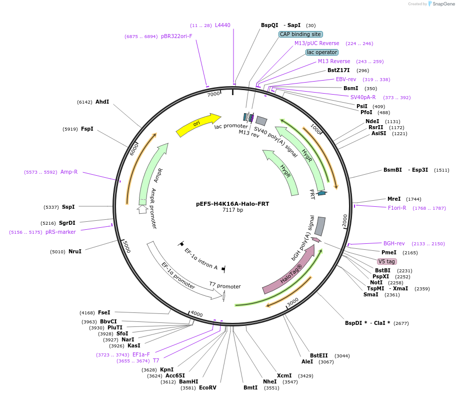 491700_map
