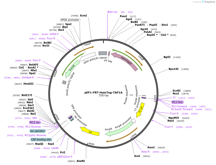 491709_map