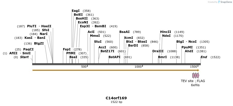 49171_map