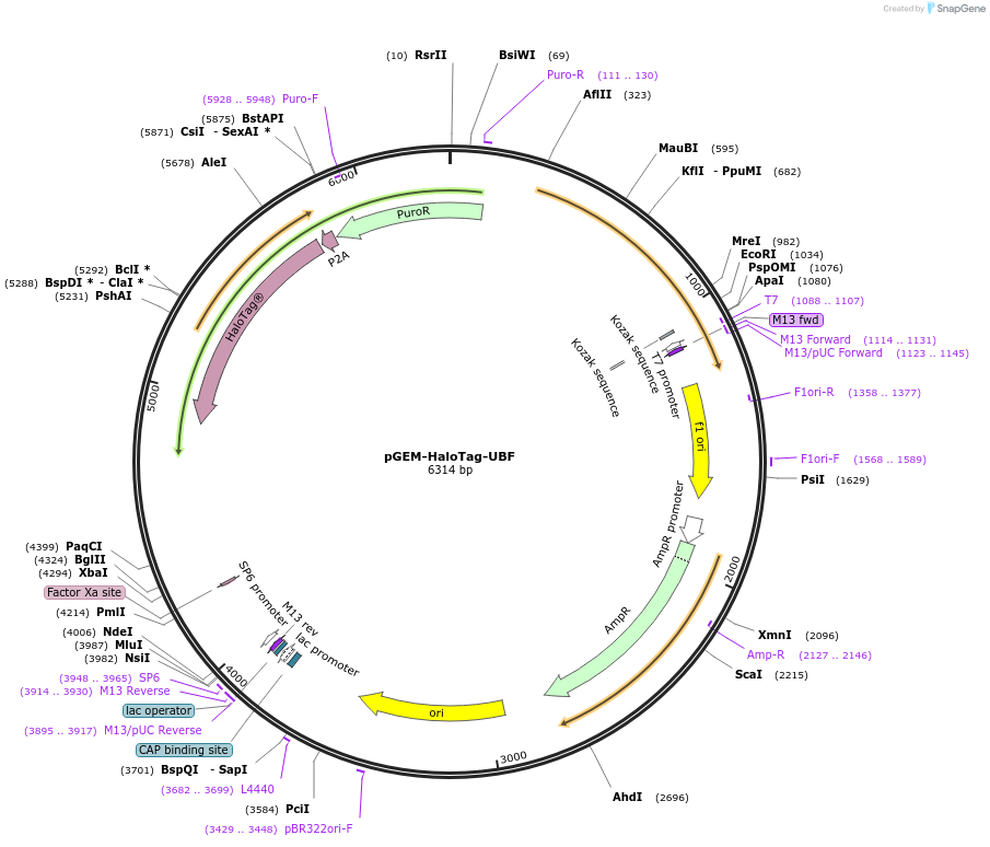 491712_map