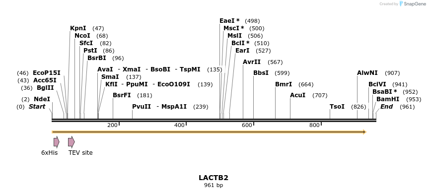 49172_map