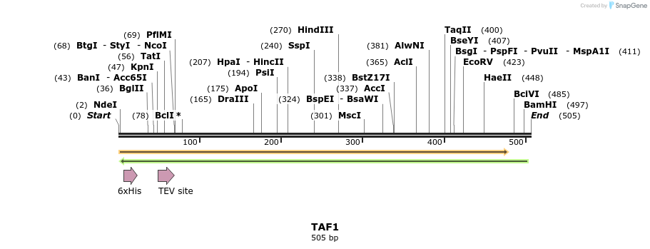 49174_map