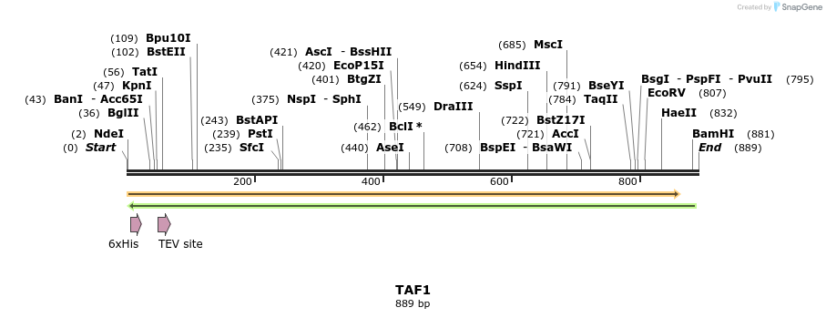 49175_map