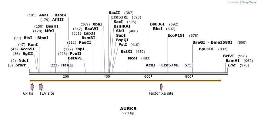49176_map