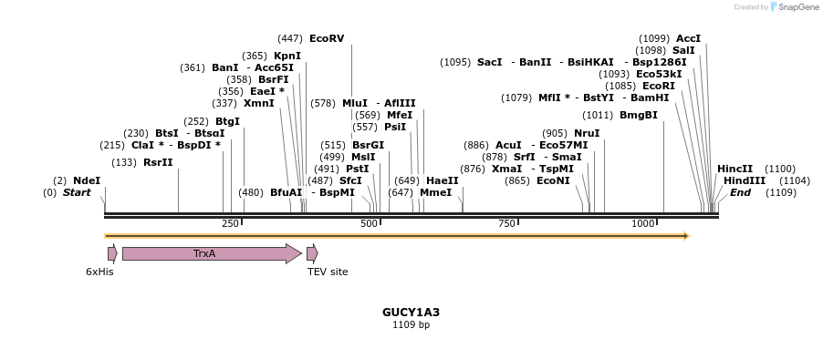 49177_map