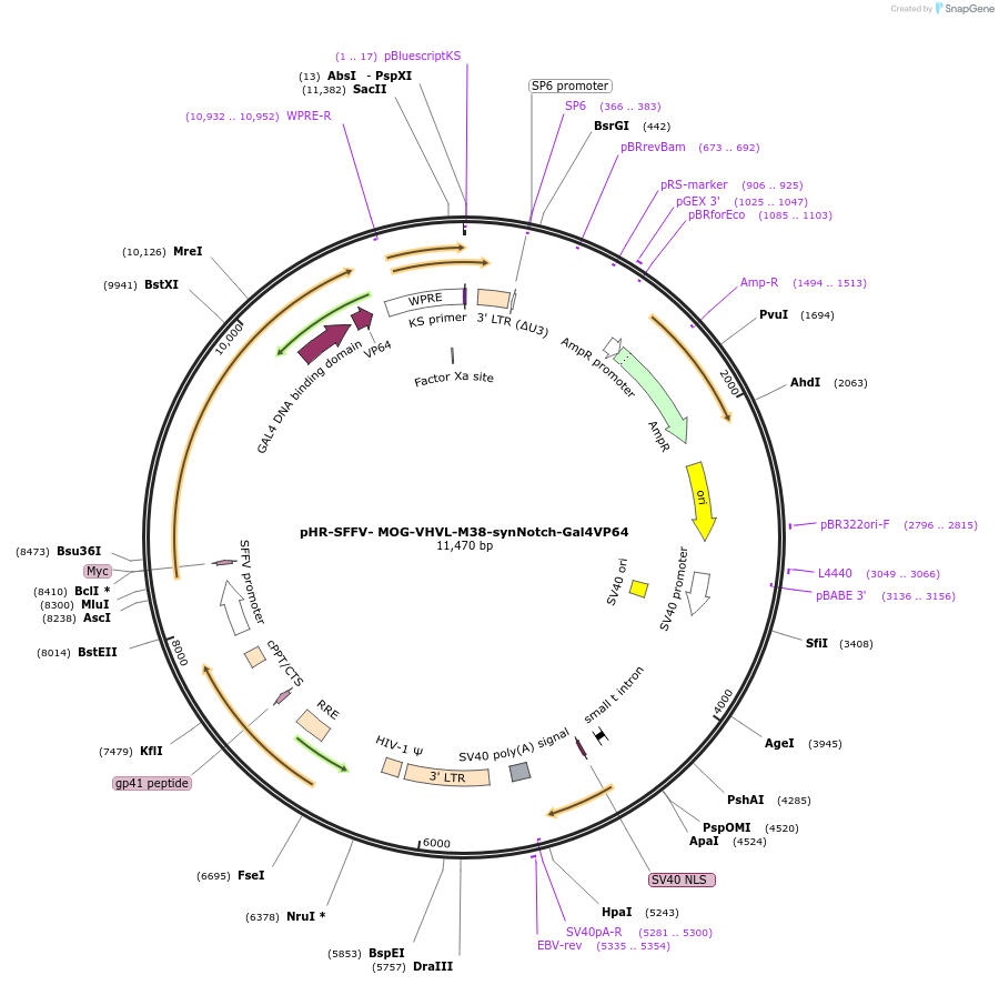 491770_map