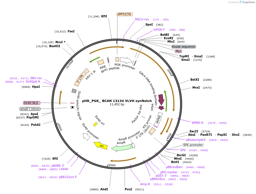 491773_map