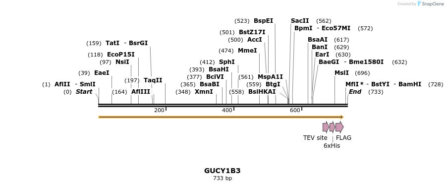 49178_map
