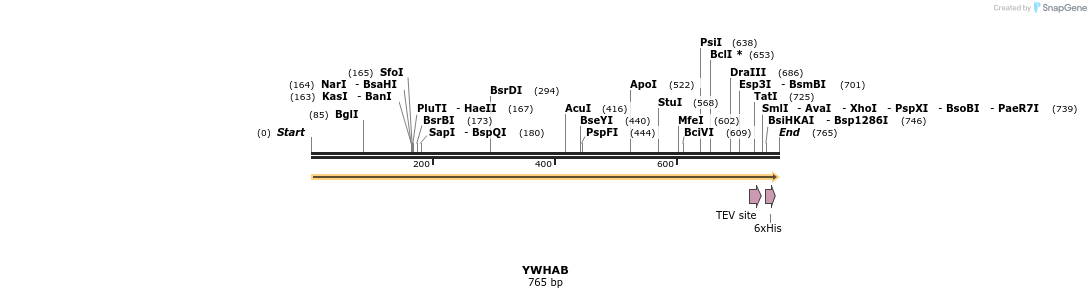49179_map