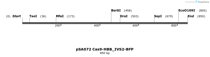 491799_map