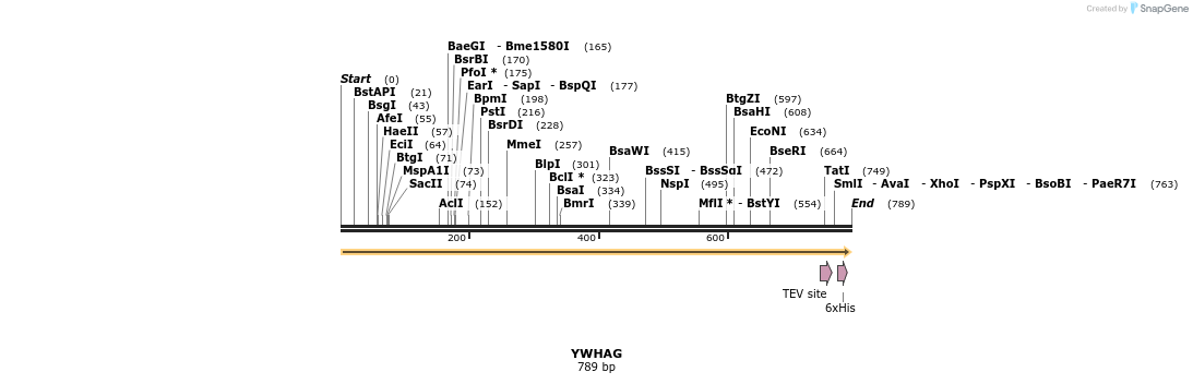 49180_map