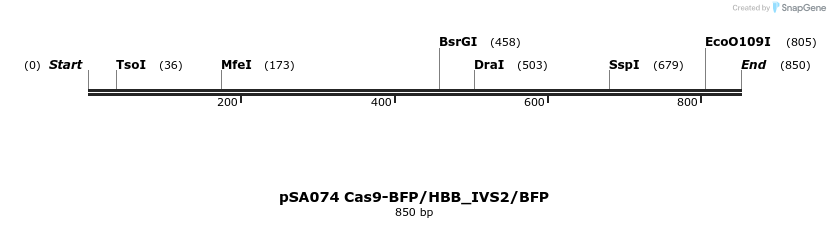 491803_map