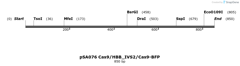 491807_map
