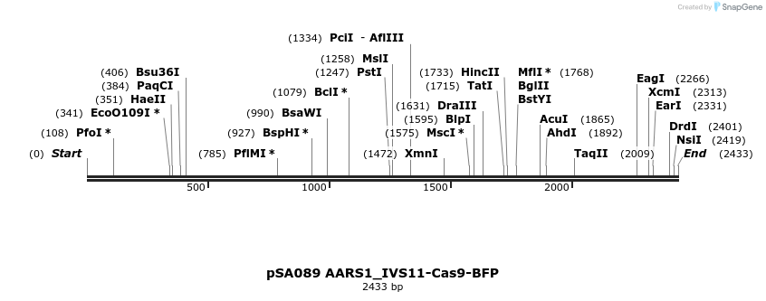491810_map