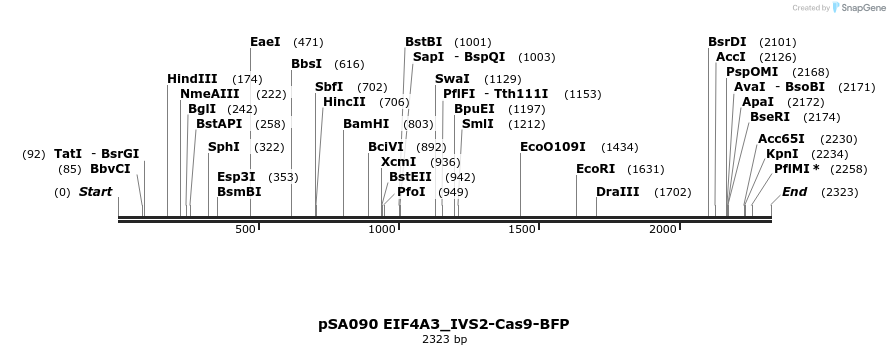 491812_map