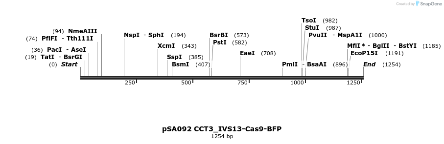 491816_map