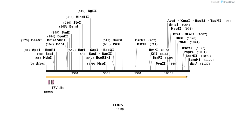 49182_map