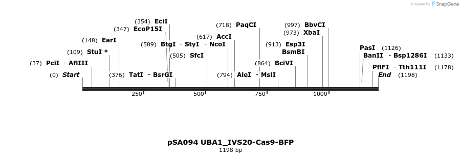 491820_map