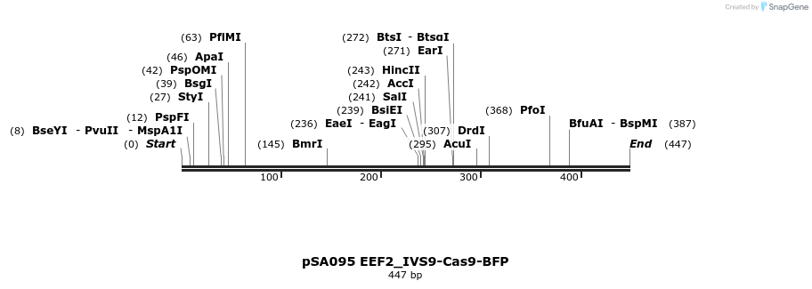 491822_map