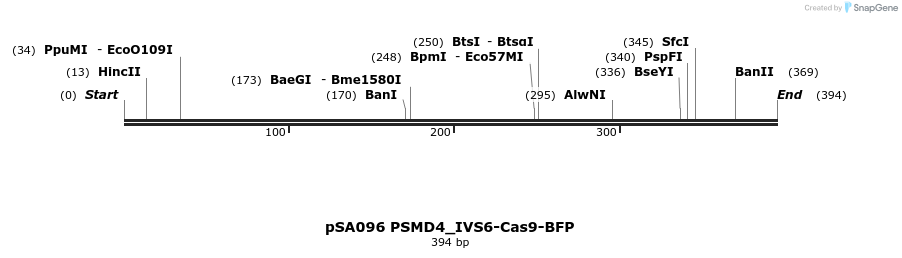 491824_map