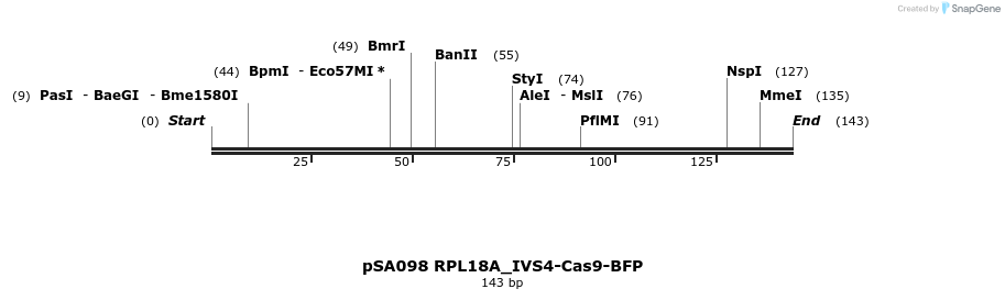491828_map