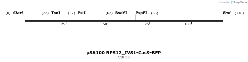 491832_map