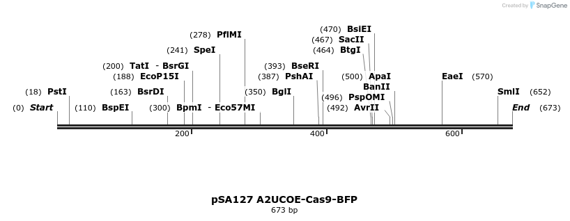 491834_map