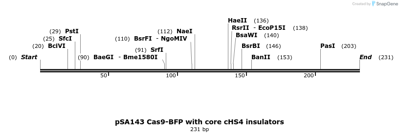 491838_map