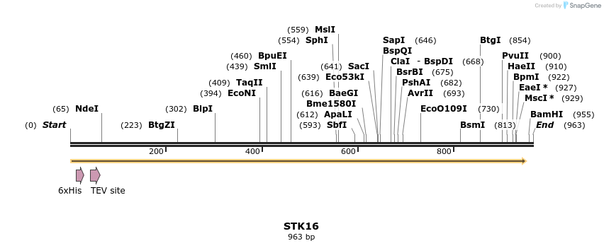 49184_map