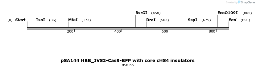 491841_map