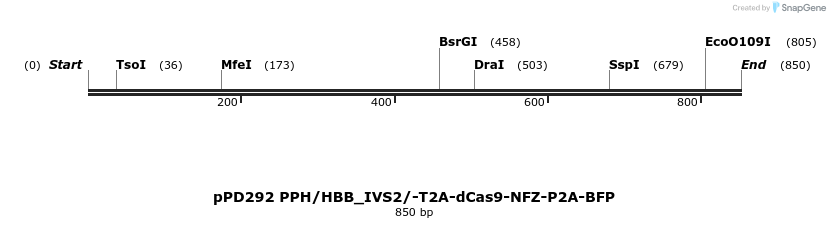 491844_map