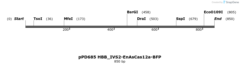 491847_map