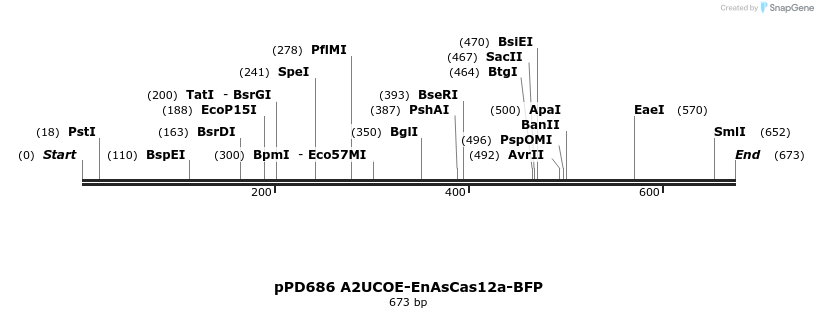 491849_map