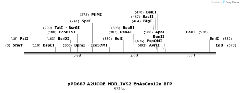 491851_map