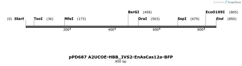 491852_map