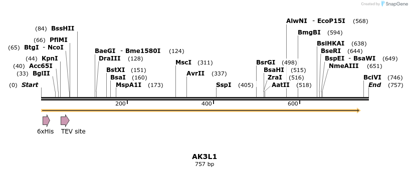 49186_map