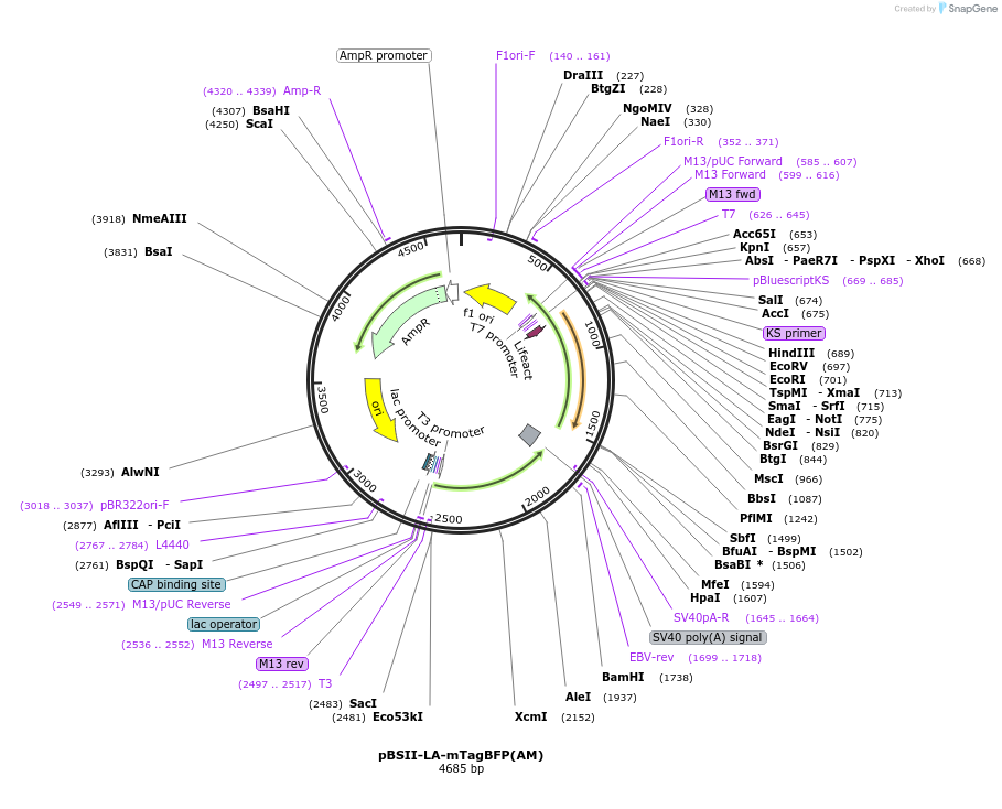 491860_map