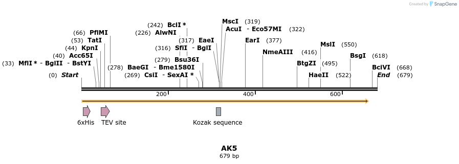 49187_map
