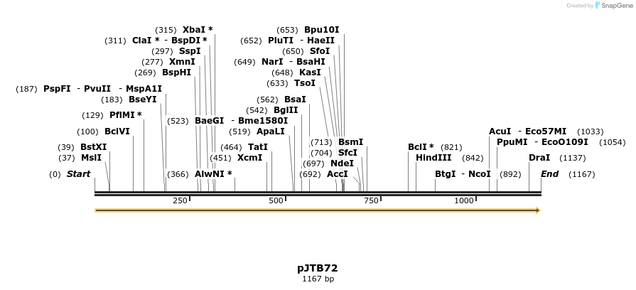 491891_map