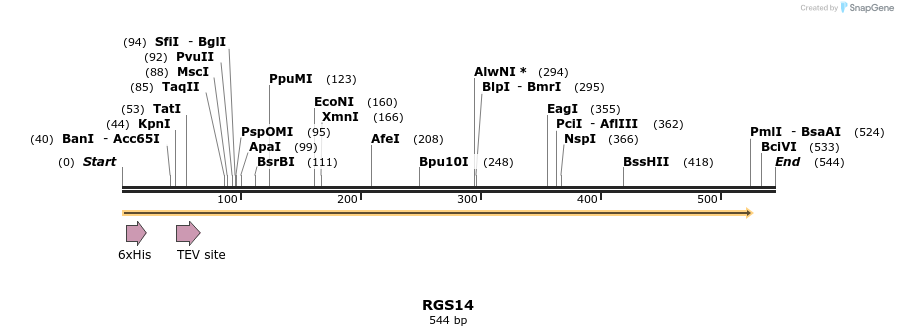 49190_map