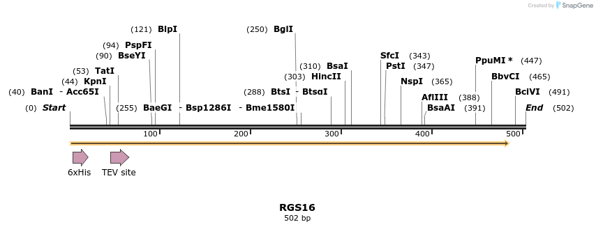 49191_map
